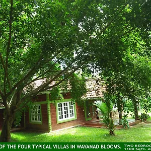 Wayanad Blooms , Kaniyambetta India